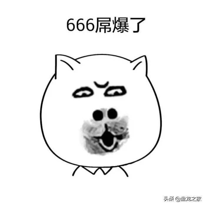 2019年是盘龙城大放异彩的一年会展中心，体育中心，地铁7号线