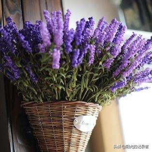 520简短浪漫花语是什么,520朵玫瑰的浪漫花语