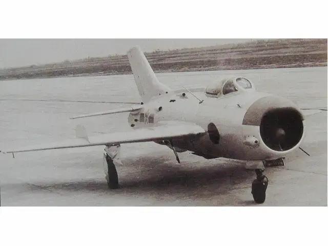 *藏西**上空的狐蝠梦魇