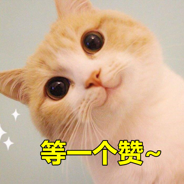 养猫需要常备哪些药,养猫必备七种药