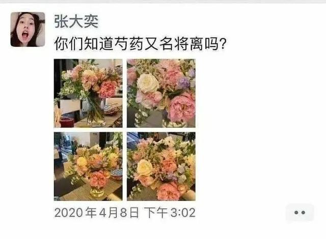 马云开除卫哲,马云挥泪斩卫哲事件