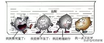 中考化学实验探究题必考,初中化学科学探究答题技巧