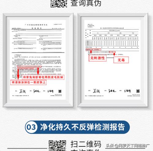 鹭翔环保自主研发除甲醛神器,鹭翔环保专业除甲醛