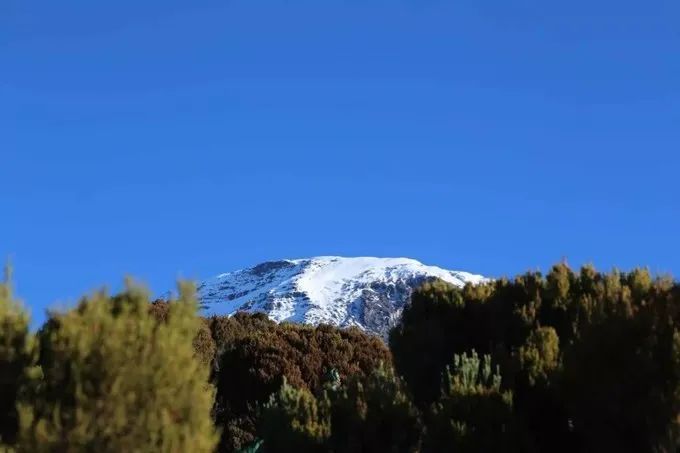 坦桑尼亚之旅,坦桑尼亚东非草原