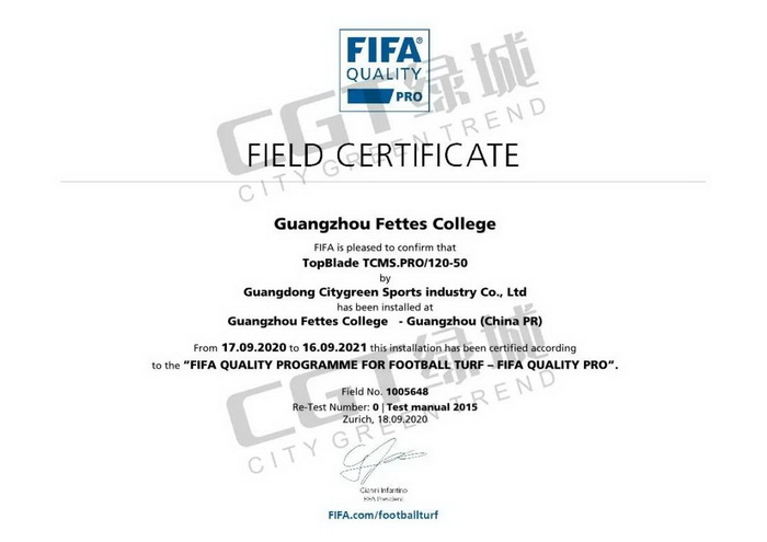 中国fifa认证专业足球场,国内fifa的足球场