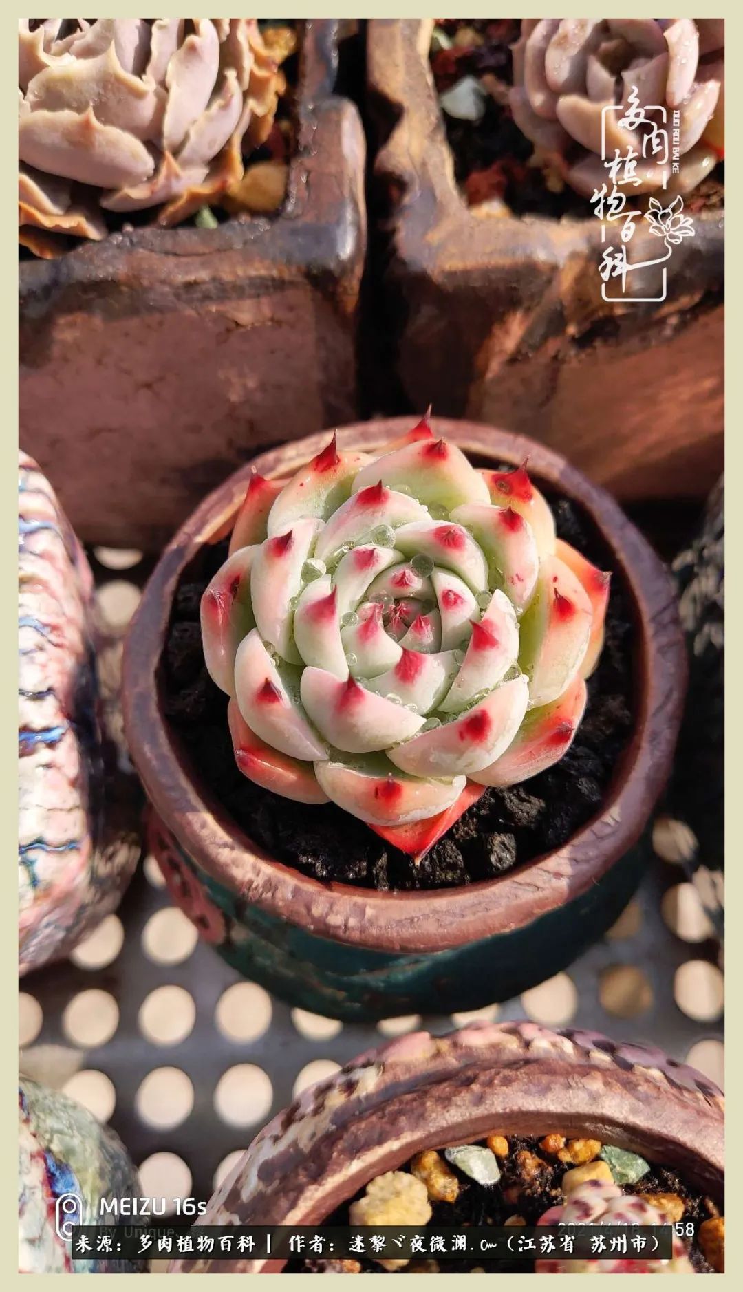 秋尽冬来岁月不居时节如流,岁月不居时节如流水