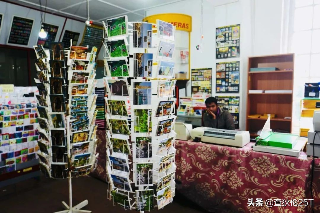 斯里兰卡努沃勒埃利耶打工靠谱吗,斯里兰卡努沃勒埃利耶