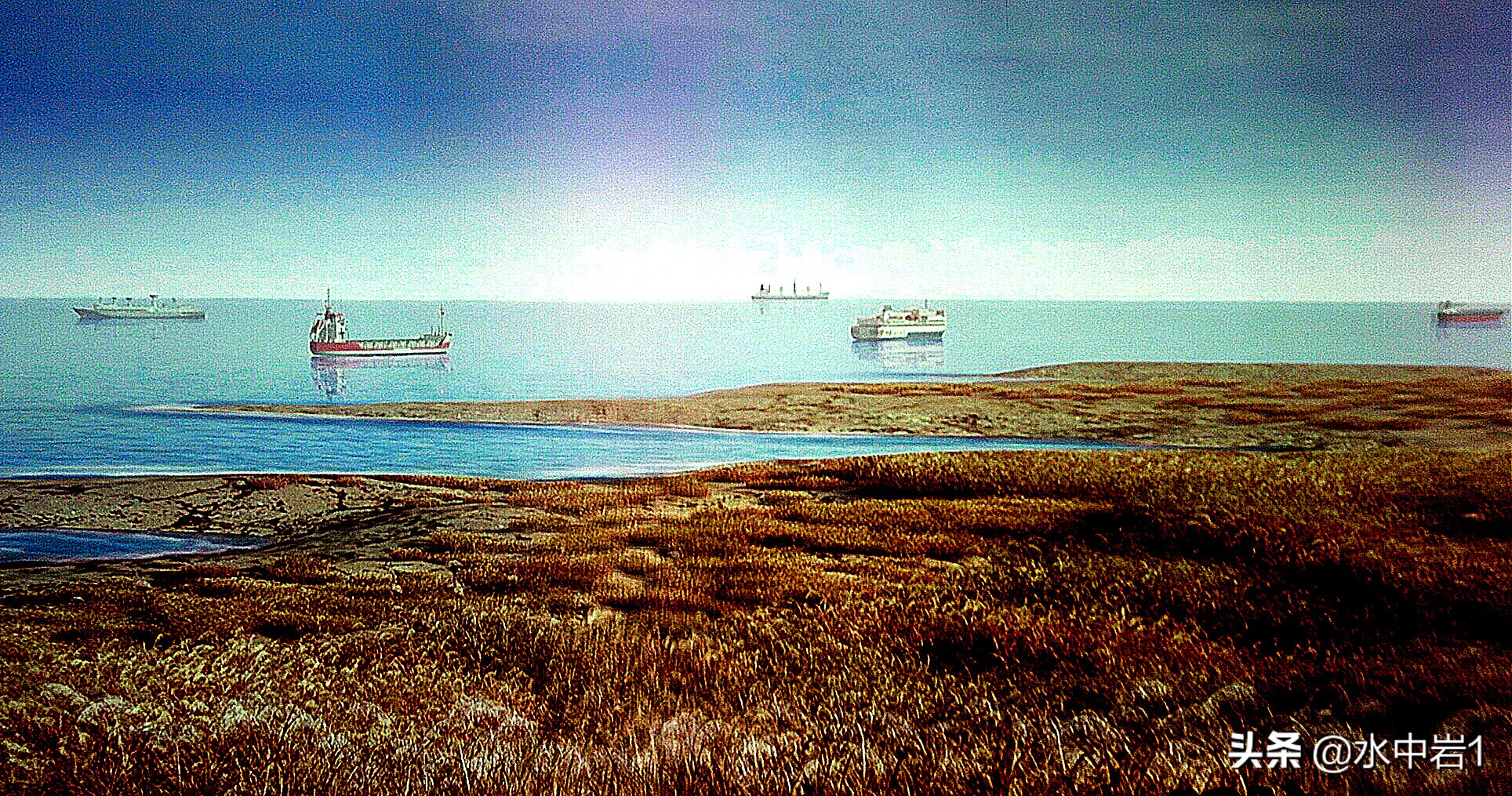 长江流域湿地生态环境保护,长江流域环境保护成果