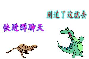 一个热闹的微信群需要具备什么,一个活跃的微信群需要十种人