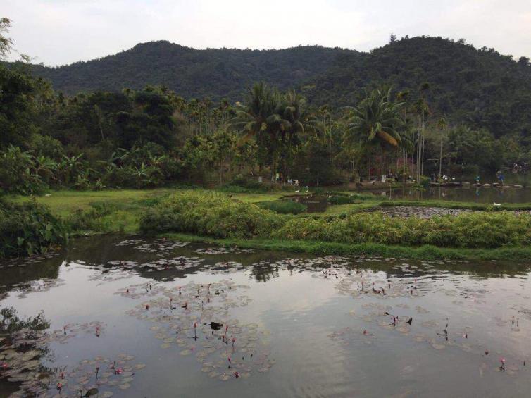 三亚南山旅游攻略自驾游,三亚到万宁的自驾游攻略