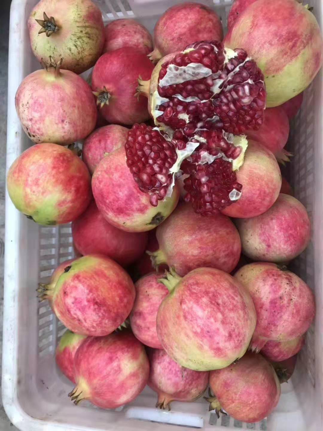 浼氱悊鐭虫Υ涓婂競鐨勫鑺傛槸鍑犳湀,浼氱悊鐭虫Υ涓婂競鏃ユ湡