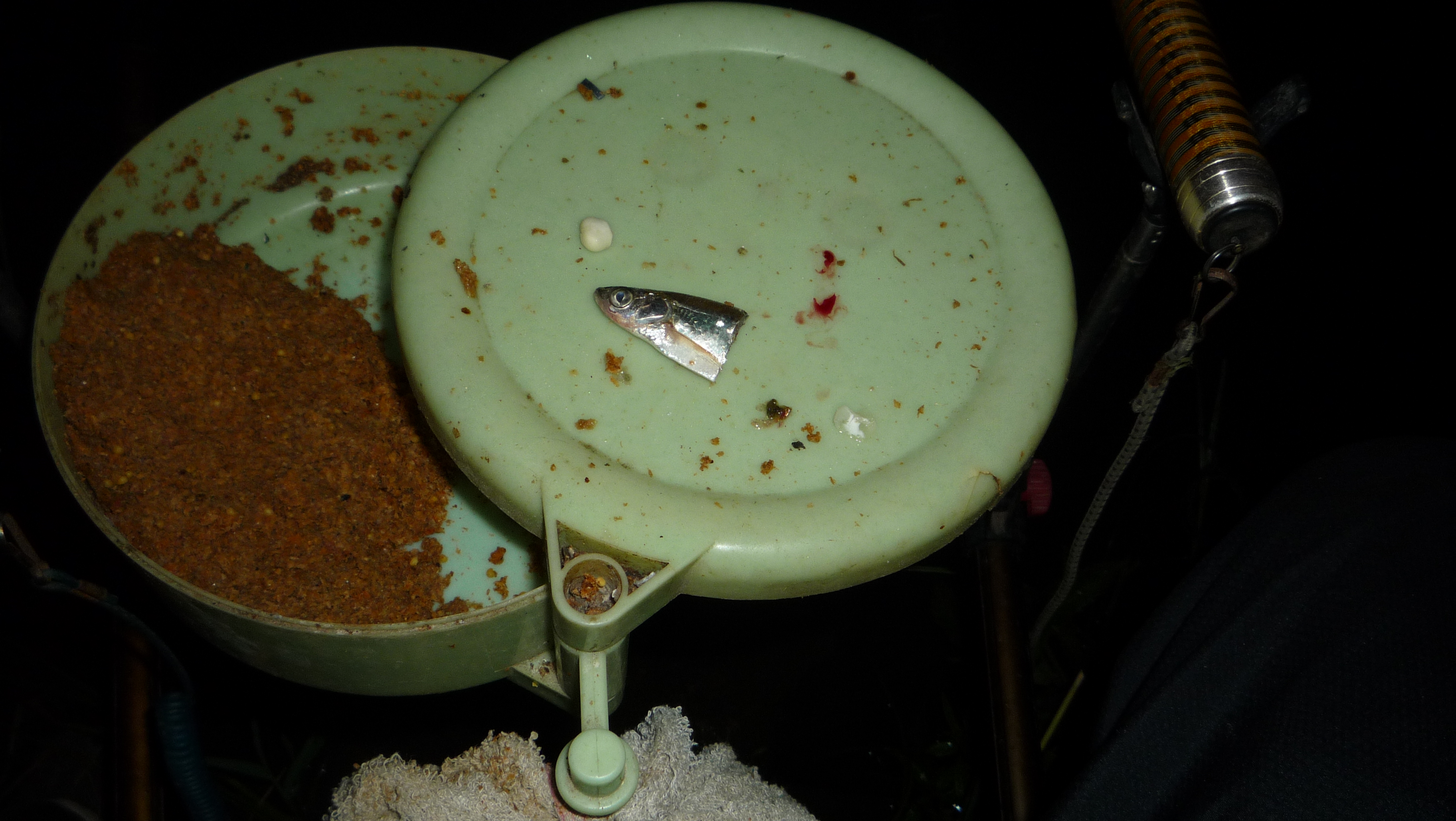 野钓钓饵最佳状态,野钓必备状态饵