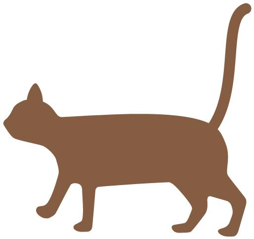 人物丨科研竞赛拔得头筹，还能做个有趣的人？华理小哥的秘诀来了