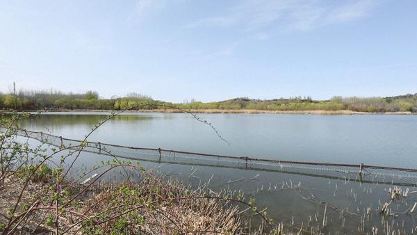 北京人少景美赏秋的公园,北京赏秋中山公园