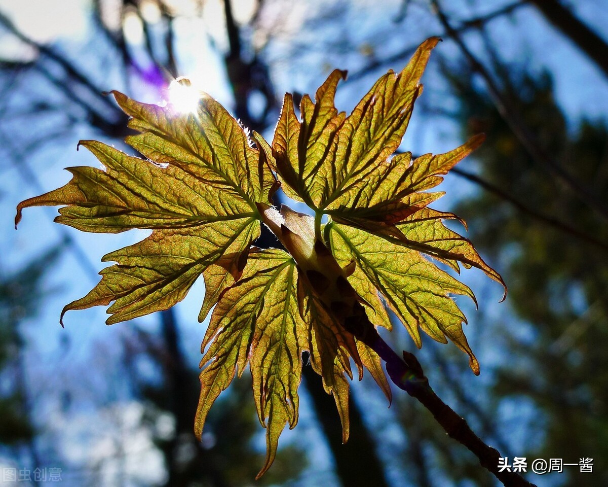 搞砸三家公司被称最差CEO，50岁后再创业，她靠二手买卖年入过亿