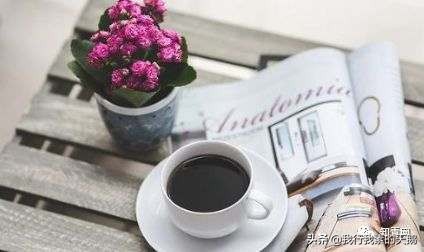 人民日报专家集体辟谣原文,专家辟谣的谣言