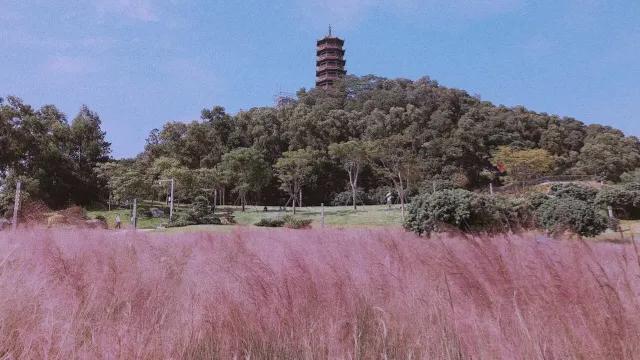 深圳适合小朋友好玩的地方推荐,深圳十个值得带孩子玩的地方