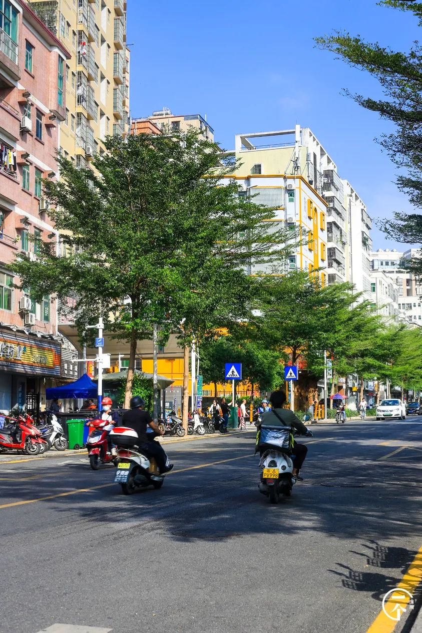 如何在深圳找租房,深圳还有月租300元的房子吗