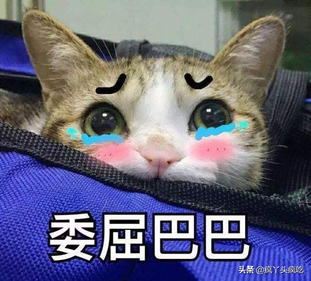 詹记蜂蜜切片蛋糕测评,詹记糕点什么最好吃