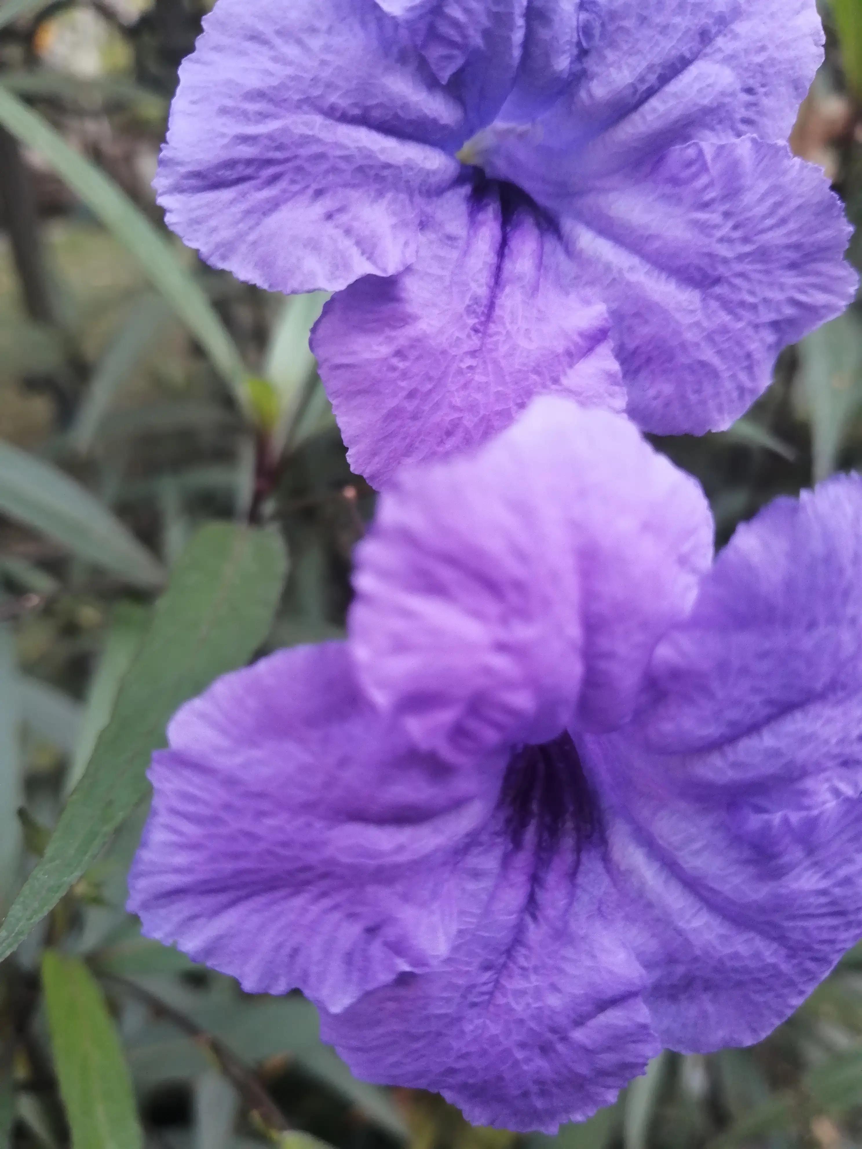 红色是中国人最崇尚的颜色吗,国人为啥那么迷恋红色