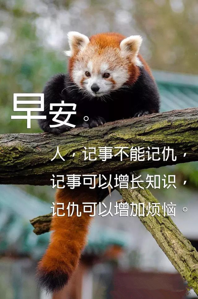 经典动人的早安心语朋友圈25句,早安心语100条简短