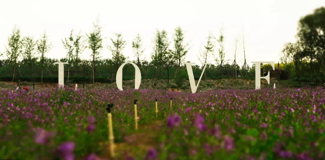 郑州被评为幸福城市有什么看法,2021郑州最具幸福感城市