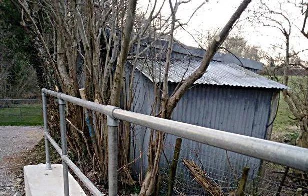 哈士奇救了小镇的10000人…没错，二哈也能当英雄