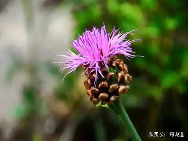 密云探寻历史足迹,密云发现神秘遗址