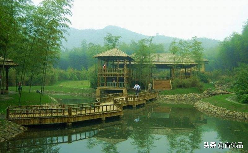 安吉董岭避暑农家乐,安吉董岭农家乐哪家看山景最佳