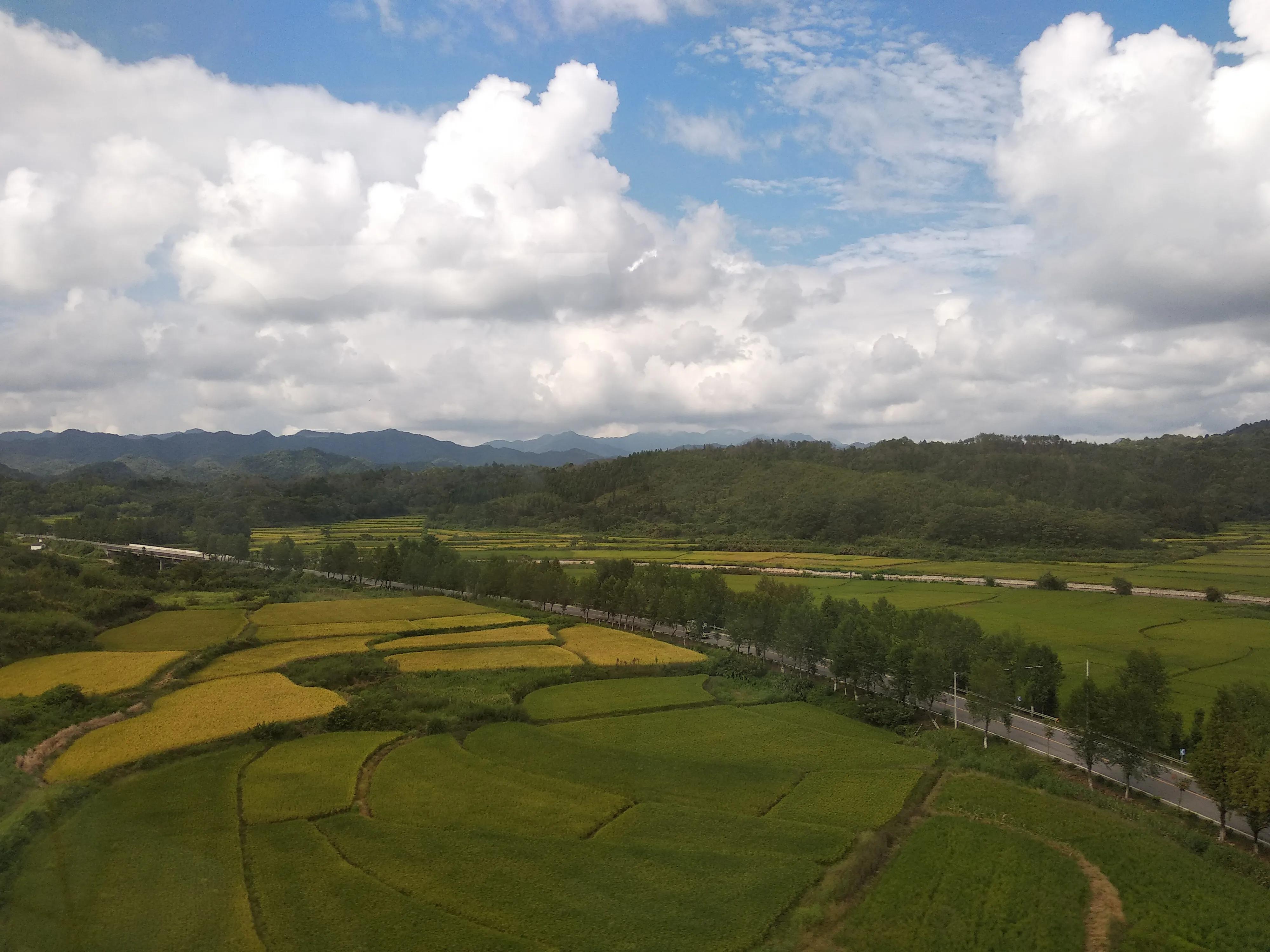 景德镇说走就走的旅行,景德镇二日游陶瓷篇