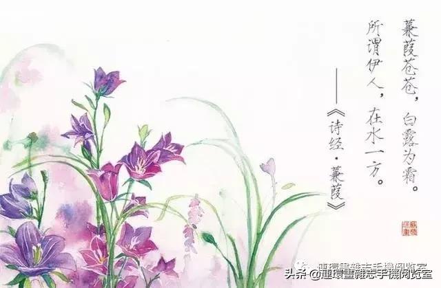 诗经俏皮句,诗经美句朗读