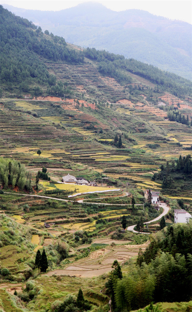 缓解眼睛疲劳壁纸颜色,缓解眼睛疲劳的壁纸高清