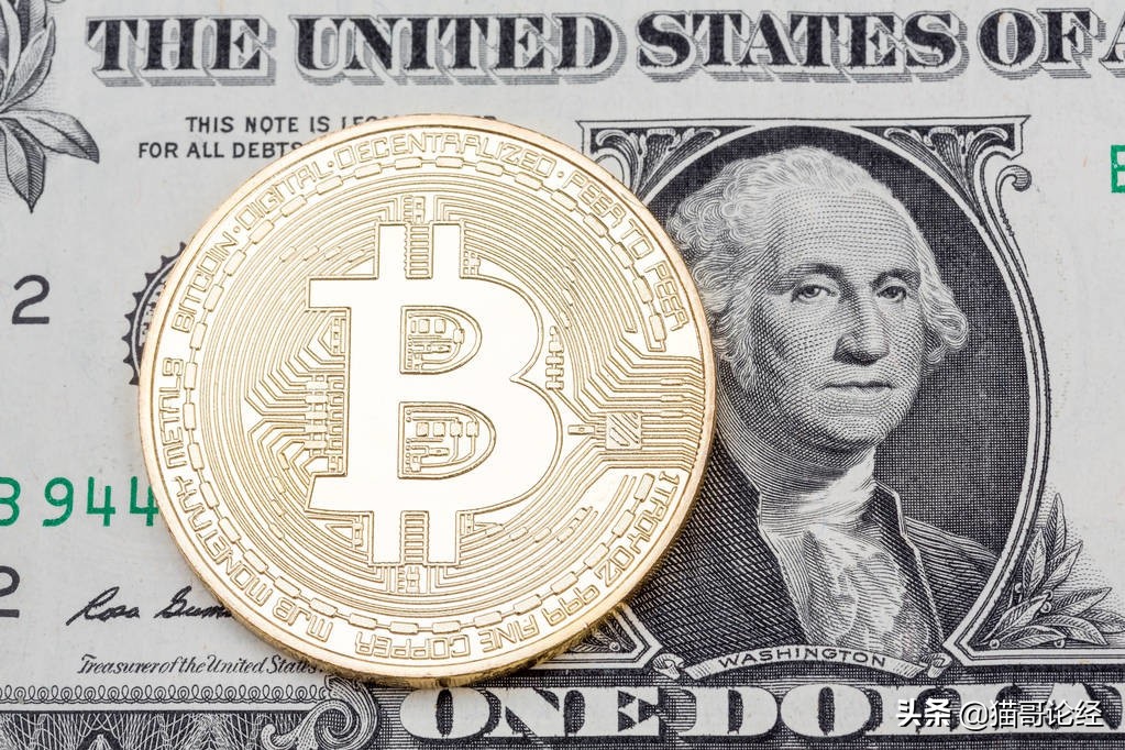 币圈入坑,币圈付费群值不值得进