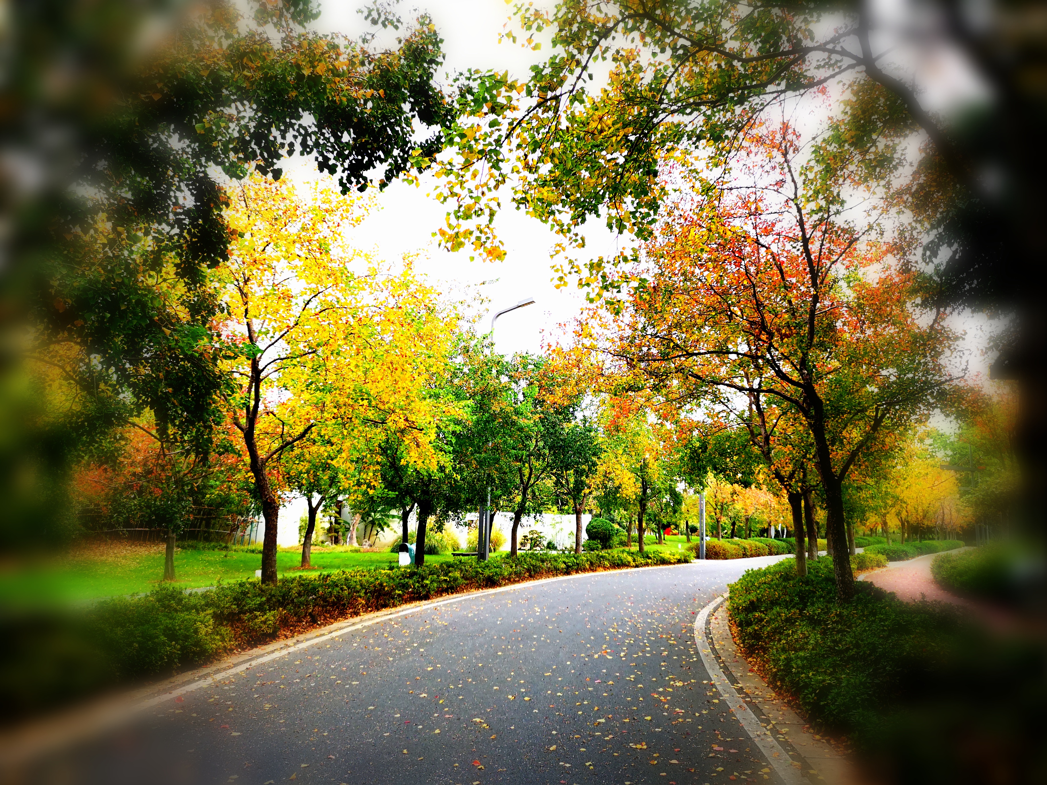 沉睡的历史与惊艳的现实——走读东西湖