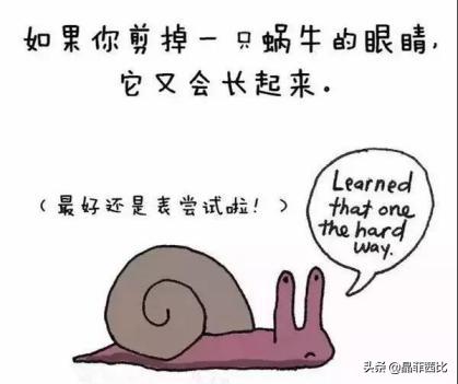 8个关于动物的冷知识,你不知道的二十条动物冷知识