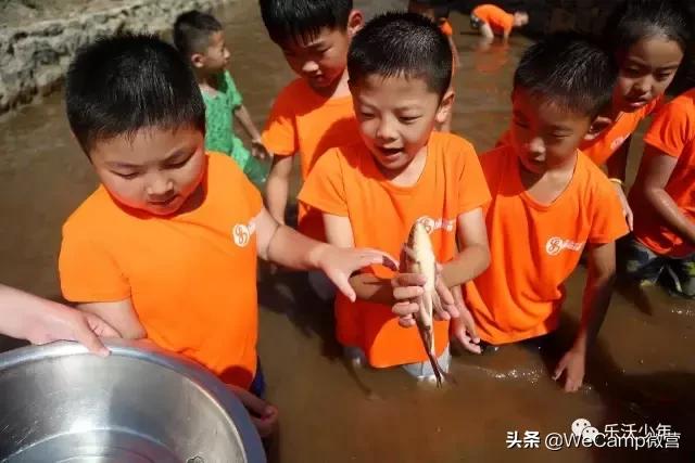 济南比较好的小学生夏令营,山东小学生夏令营