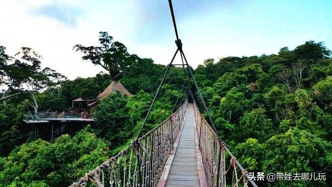 住三亚亚龙湾鸟巢酒店,亚龙湾森林热带天堂非诚勿扰