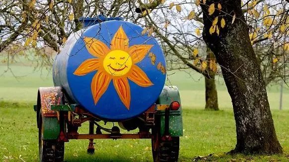 农村商机无处不在，8个创业新点子，比打工强的好项目