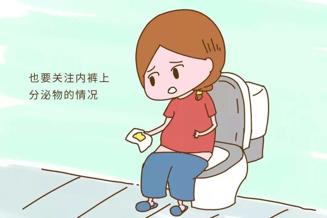 内裤老是有黄的分泌物什么原因,内裤老是有黄的分泌物是什么原因