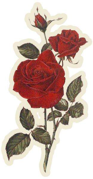 八个月孕妇能化妆吗,孕妇可以化妆抹口红吗