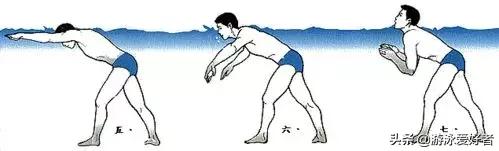 抬头蛙泳轻松入门,新手入门学蛙泳还是自由泳