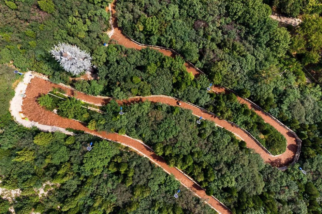 济南景观公园,济南神秘网红公园