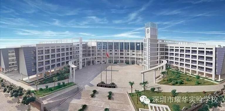 在深圳孩子的日常生活,人在深圳的故事