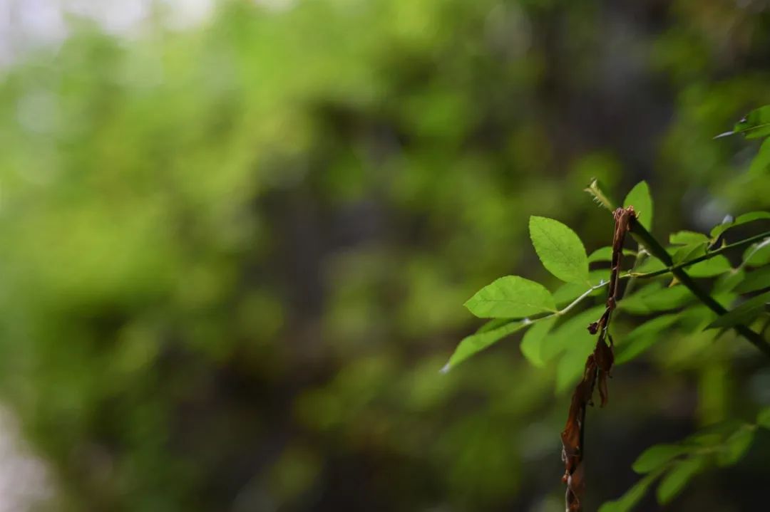 定价1799元！一款定位经济、轻便的挂机头评测