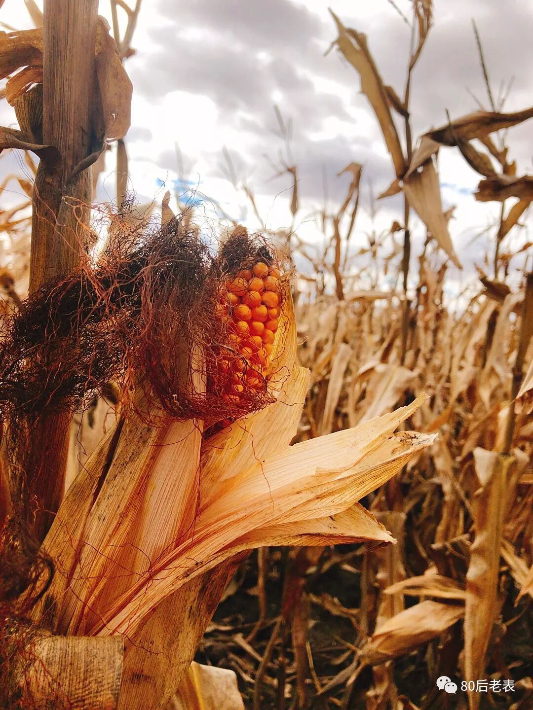单人摩旅环中国第二天,摩旅第六十八天