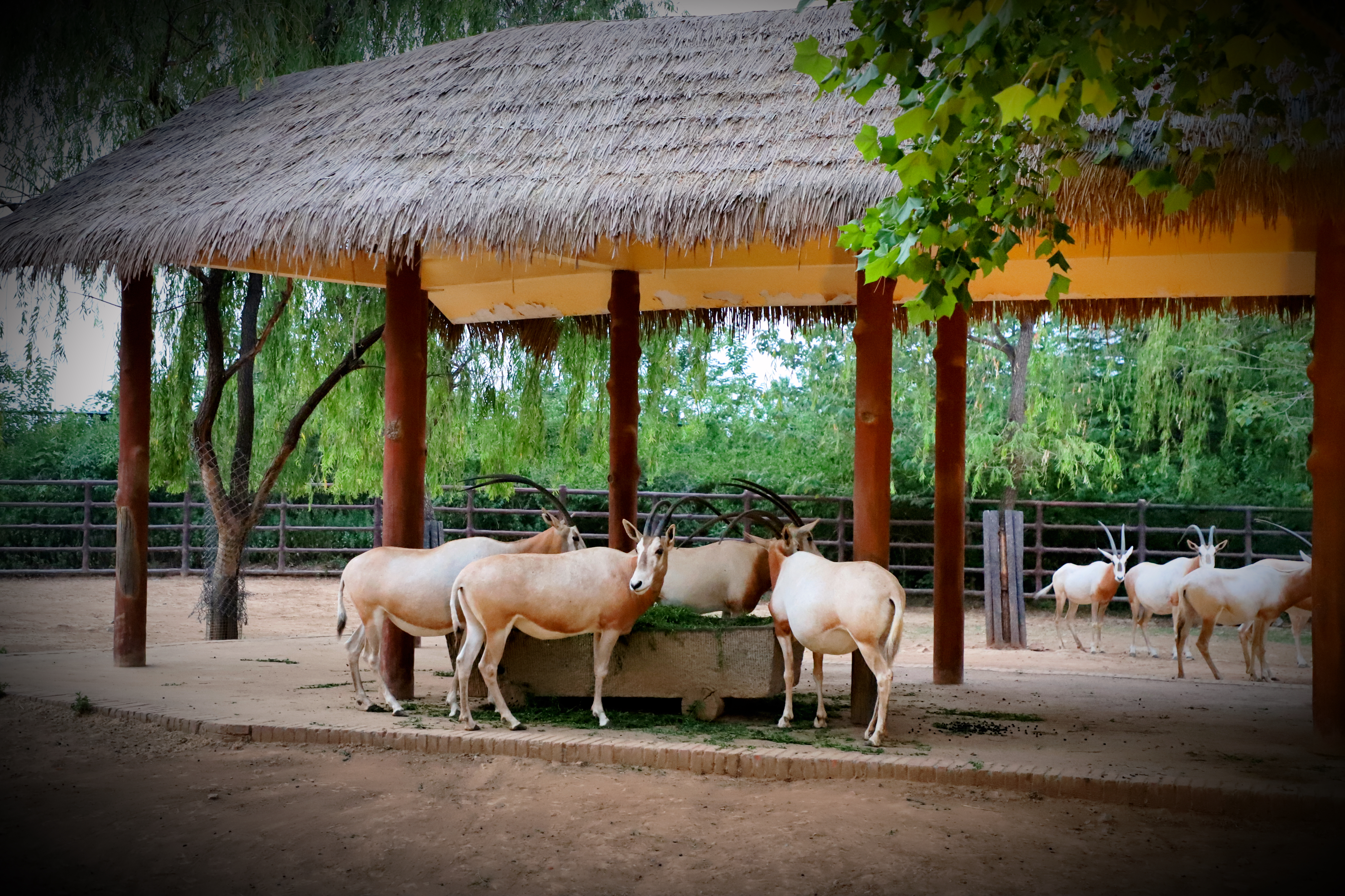 济南周末冬季遛娃,济南遛娃好玩的地方