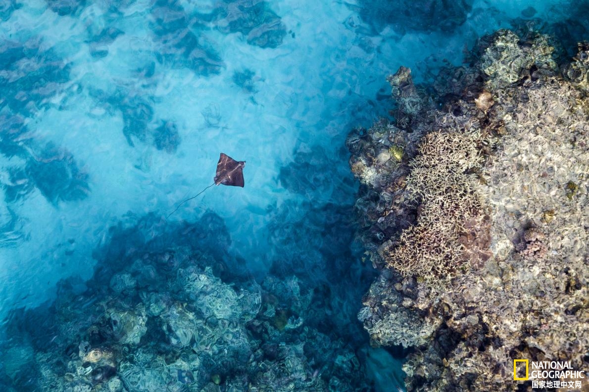 2021年全球最佳旅行目的地,2019年世界最佳旅行目的地榜单