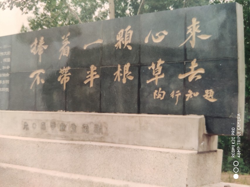 心中常驻芳华毛阿敏原唱,心中常驻芳华