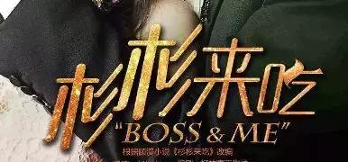 国内高分电视剧的英文名,那些热播电视剧的英文名