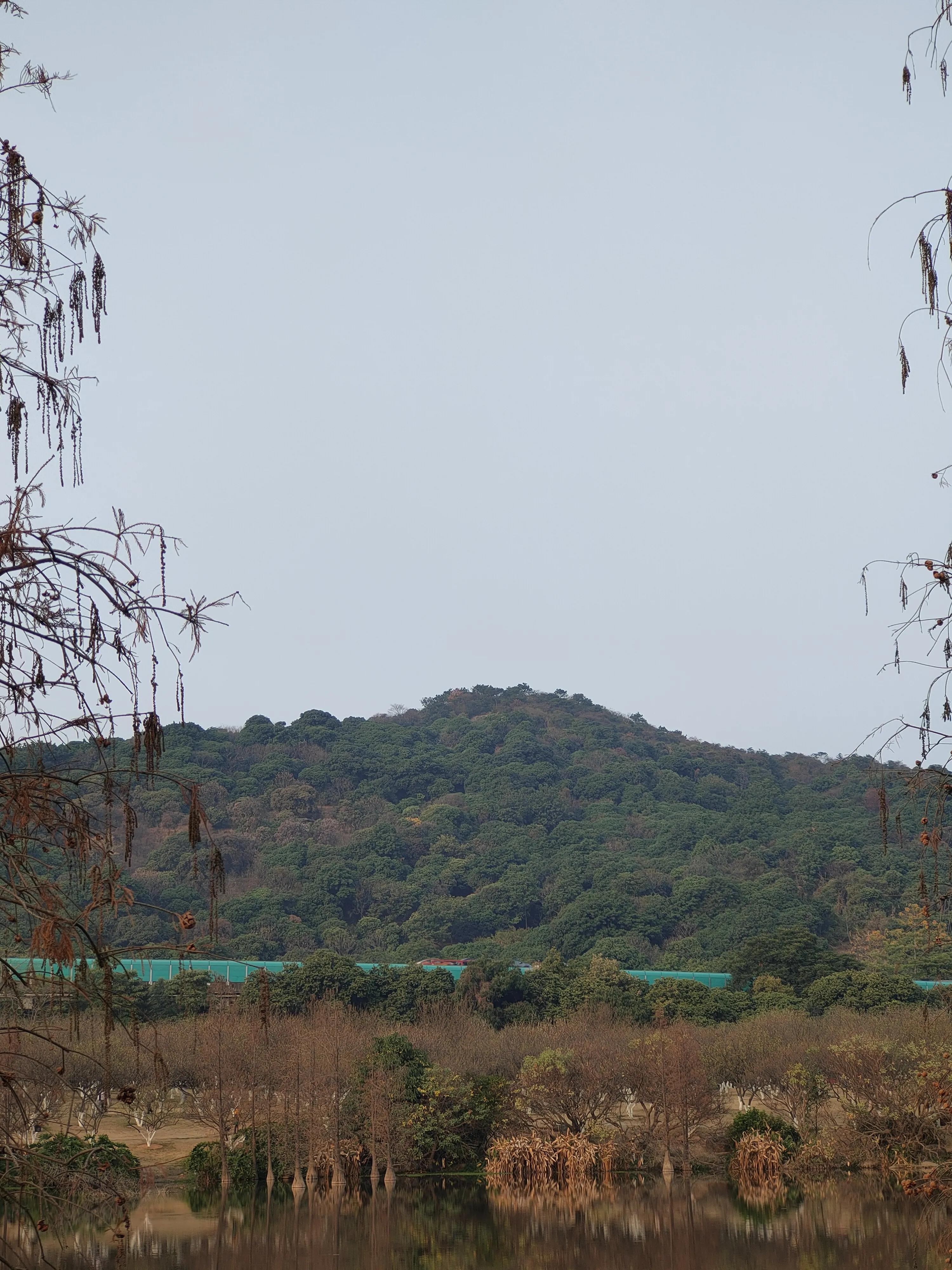 偌大的城市我的栖身之处在何处,偌大的城市容不下一个漂泊的灵魂